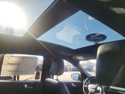 2025 Ford Escape ST-Line Select