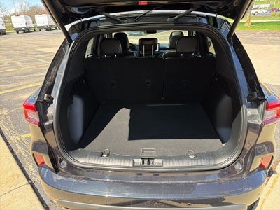 2023 Ford Escape ST-Line Elite