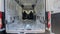 2027 Ford Transit-350 Base